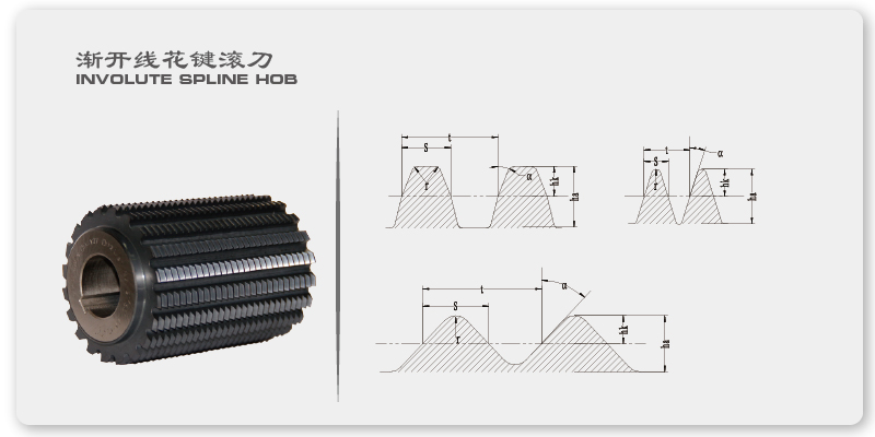 渐开线花键滚刀.jpg